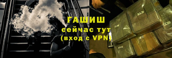 твердый Туринск