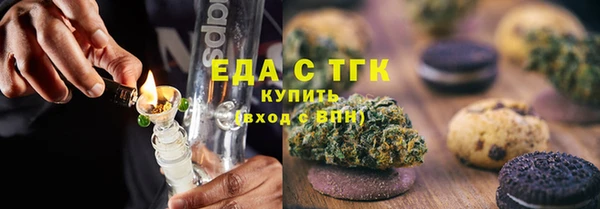 твердый Туринск