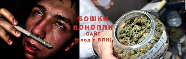 твердый Туринск