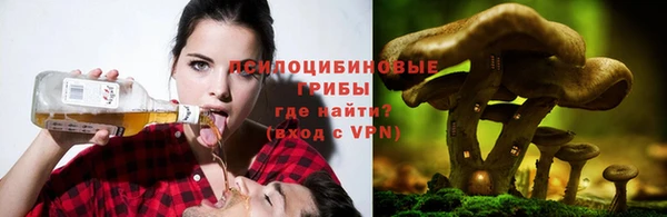 СК Тутаев