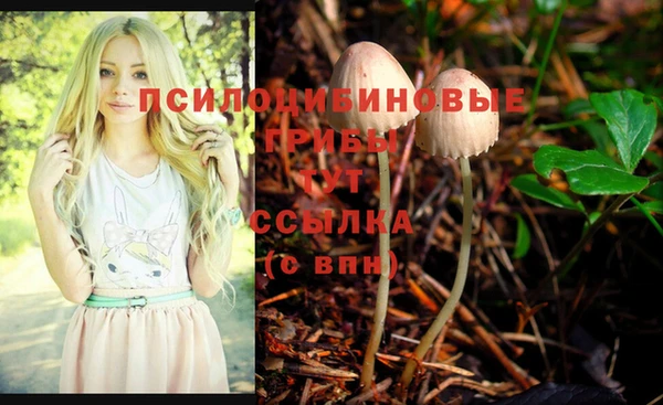 альфа пвп Кондопога