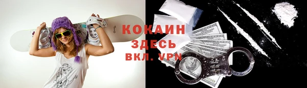 твердый Туринск