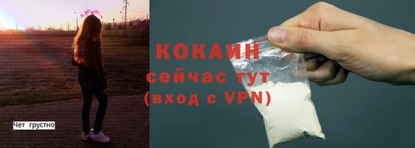 твердый Туринск