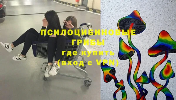 твердый Туринск