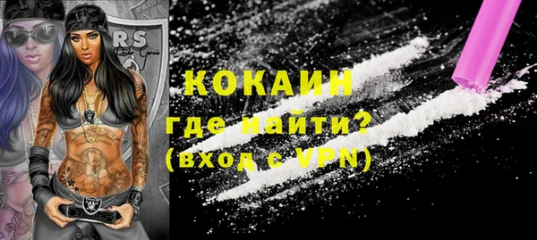 твердый Туринск