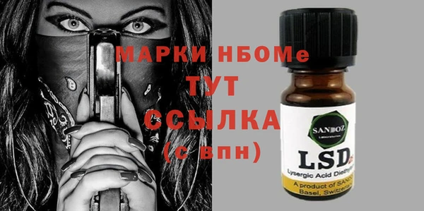 твердый Туринск