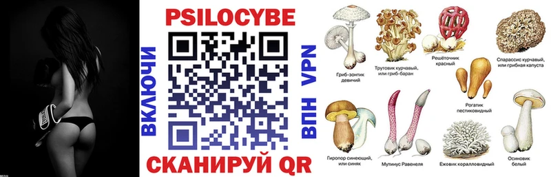 Псилоцибиновые грибы Cubensis Инта