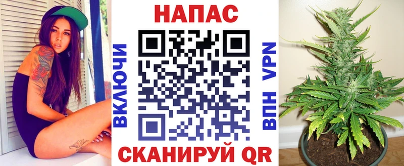 Канабис планчик  Купить где  Инта 